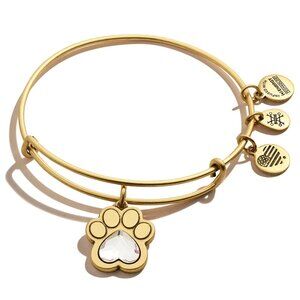 ALEX AND ANI Crystal Paw Prints of Love Charm Bangle Bracelet